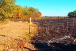 TetraKO stops progress of fire in test burn situation